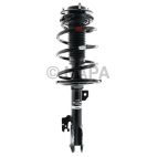 Suspension Strut Assembly