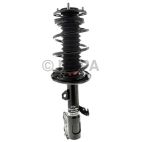 Suspension Strut Assembly