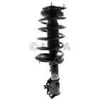 Suspension Strut Assembly