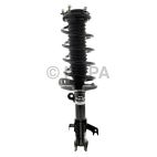 Suspension Strut Assembly