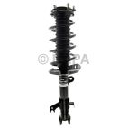 Suspension Strut Assembly