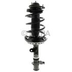 Suspension Strut Assembly