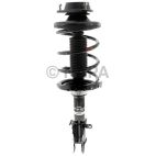 Suspension Strut Assembly