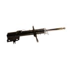 Suspension Strut