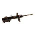 Suspension Strut