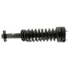 Suspension Strut Assembly