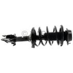 Suspension Strut Assembly