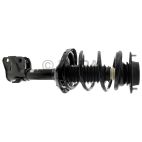Suspension Strut Assembly