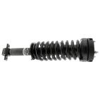 Suspension Strut Assembly