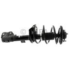 Suspension Strut Assembly