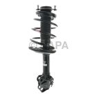 Suspension Strut Assembly