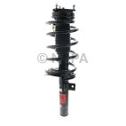 Suspension Strut Assembly