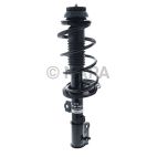 Suspension Strut Assembly