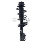 Suspension Strut Assembly