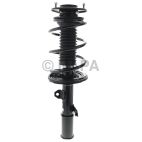 Suspension Strut Assembly
