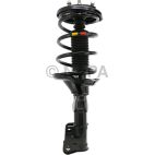 Suspension Strut Assembly