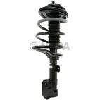 Suspension Strut Assembly