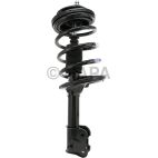 Suspension Strut Assembly