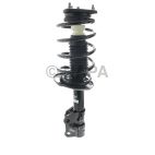 Suspension Strut Assembly