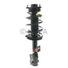 Suspension Strut Assembly