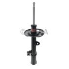 Suspension Strut