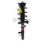 Suspension Strut Assembly