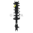 Suspension Strut Assembly