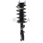 Suspension Strut Assembly