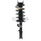 Suspension Strut Assembly