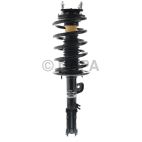 Suspension Strut Assembly