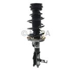 Suspension Strut Assembly