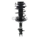 Suspension Strut Assembly