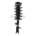 Suspension Strut Assembly