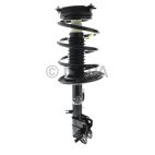 Suspension Strut Assembly