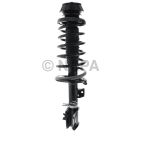 Suspension Strut Assembly