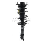 Suspension Strut Assembly