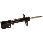 Suspension Strut