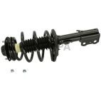 Suspension Strut Assembly