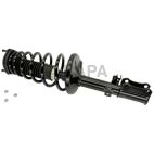 Suspension Strut Assembly