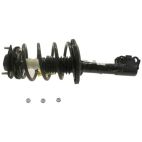 Suspension Strut Assembly