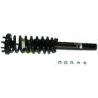 Suspension Strut Assembly