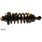 Suspension Strut Assembly