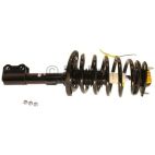 Suspension Strut Assembly