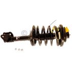 Suspension Strut Assembly