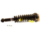 Suspension Strut Assembly