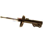 Suspension Strut