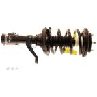Suspension Strut Assembly