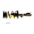 Suspension Strut Assembly