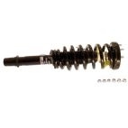 Suspension Strut Assembly