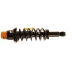 Suspension Strut Assembly